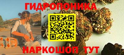 прущие крисы Пыть-Ях
