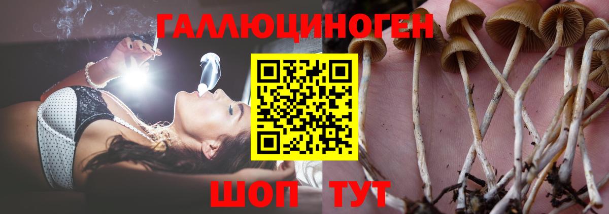 Бошки Шишки  Кокаин  Мефедрон  Вход с VPN  NBOMe  Сердобск  Меф МЯУ МЯУ кристаллы  Купить наркотик  Гашиш 